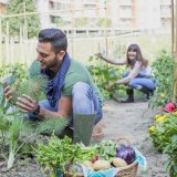 Potager urbain_Jardiniers